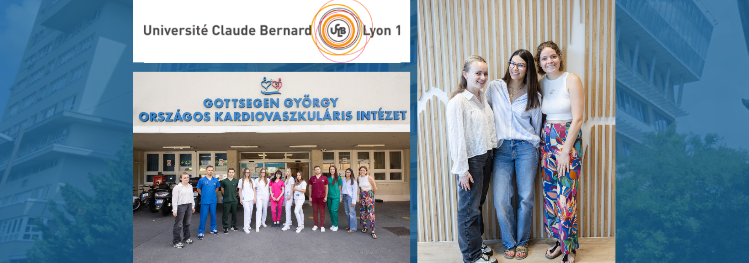 Lyon.png